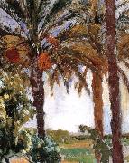 Joaquin Sorolla Palm oil painting reproduction